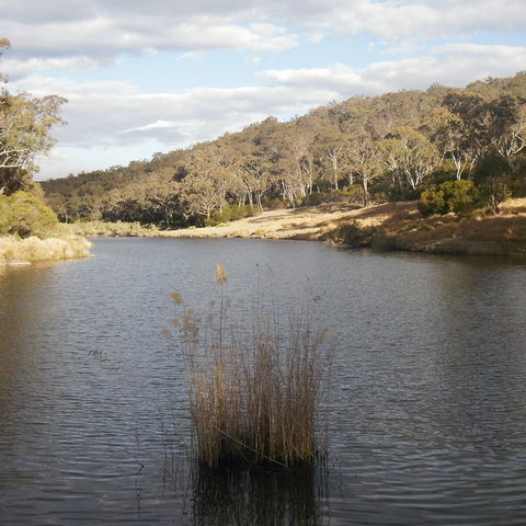 Bullock Mountain Homestead - QLD Tourism 2