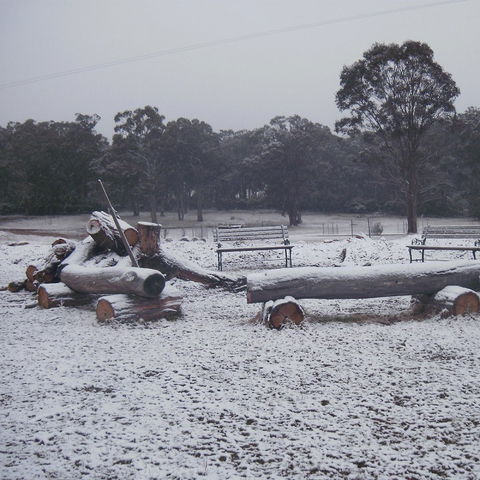 Bullock Mountain Homestead - QLD Tourism 3