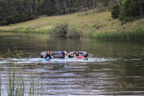 Bullock Mountain Homestead - QLD Tourism 5