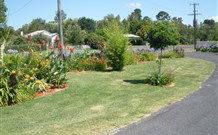 Glen Innes Motel - Glen Innes - QLD Tourism 1