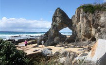 Narooma YHA - Narooma - QLD Tourism 5