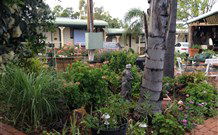 Oasis Motel - QLD Tourism 1