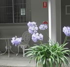 Pine Lodge Motel - Woolgoolga - QLD Tourism