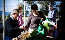 Shoalhaven Heads Hotel Motel - QLD Tourism 3