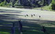 Sussex Shores RSL Units - Sussex Inlet - thumb 6
