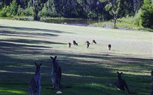 Sussex Shores RSL Units - Sussex Inlet - QLD Tourism 6