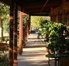 The Vineyard Motel - Cowra - QLD Tourism
