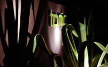 Tonic Hotel - QLD Tourism 5