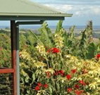 Alstonville Country Cottages - Queensland Tourism