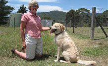 Big Bell Farm - QLD Tourism 2