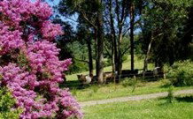 Historic Roseneath Station - QLD Tourism 5