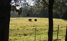 Historic Roseneath Station - QLD Tourism 6