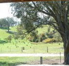 Hosanna Farm Retreat - QLD Tourism