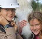 Mayfield Vineyard Cottages - Queensland Tourism