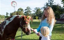 Mogendoura Farm Eurobodalla - Queensland Tourism 7