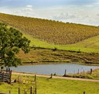 Sanctuary Hill Retreat - QLD Tourism