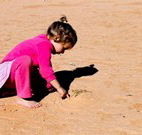 Stony Creek Farm B and B - Queensland Tourism