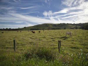 Goolmangar NSW Queensland Tourism