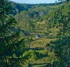 Yarralong BnB and Farm Stay - QLD Tourism