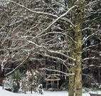 Bethany Manor Bed and Breakfast - QLD Tourism