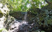 Cougal Park Bed And Breakfast - QLD Tourism 3