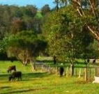 Giba Gunyah Country Cottages - Queensland Tourism