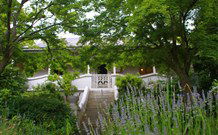 Lavender Majestic - QLD Tourism 2