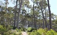 Lilli Pilli Beach Bed And Breakfast - Queensland Tourism 5