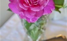 Newcastle's Bed & Breakfast - QLD Tourism 3