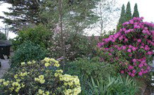 Silvermere Guesthouse - - QLD Tourism 1