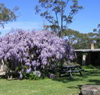Studio Cottages Romantic Hideaway - Queensland Tourism