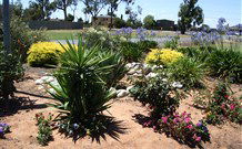 Aaroona Holiday Resort - QLD Tourism 2