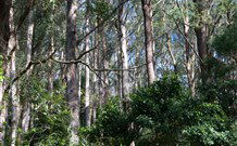 Berenbell Vineyard Retreat - QLD Tourism 6