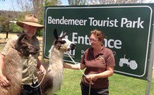 Berrara NSW QLD Tourism