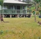 Bewong River Retreat - QLD Tourism
