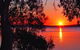 Bluegums Cabins - thumb 7