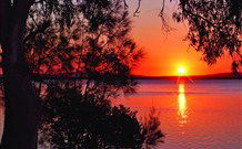 Bluegums Cabins - Queensland Tourism 7