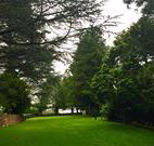 Brigalow Cottage - QLD Tourism