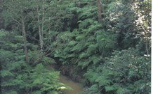 Eco Huts - Jervis Bay Getaways - QLD Tourism 1
