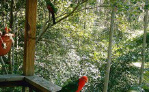 Eco Huts - Jervis Bay Getaways - QLD Tourism 2