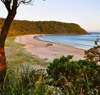 Ecoasis - QLD Tourism