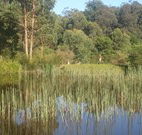 Fosterton Lodge Retreat - Queensland Tourism