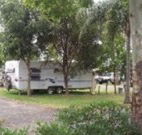 Gum Tree Heaven - QLD Tourism
