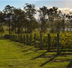 Hidden Treasure - QLD Tourism