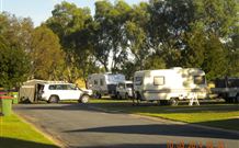 Husky Style - QLD Tourism 4