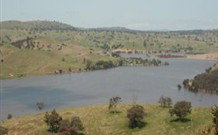 In The Heart Of Husky - QLD Tourism 0