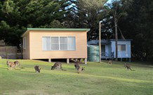 Lake Haven Castle Cottage - QLD Tourism 1