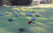 Lake Haven Castle Cottage - QLD Tourism 2