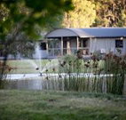 Mt Clunie Cabins - Queensland Tourism