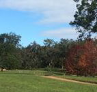 Mulberry Cottage - QLD Tourism